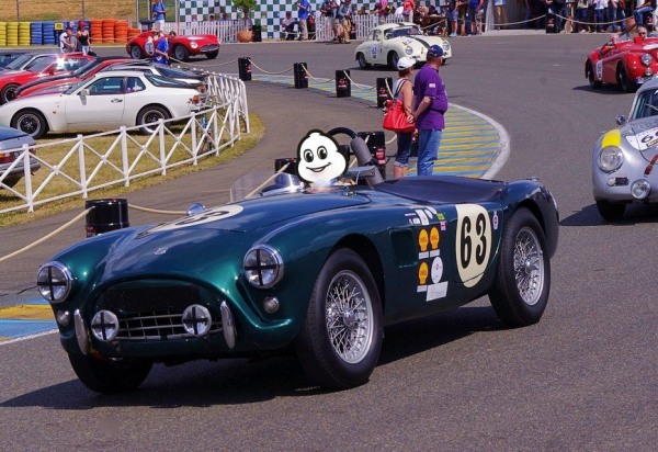 AC Ace Bristol on Michelin Tires